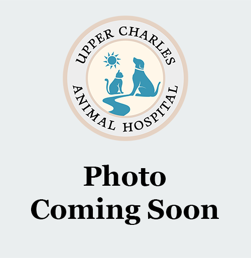 Upper Charles Animal Hospital Coming Soon