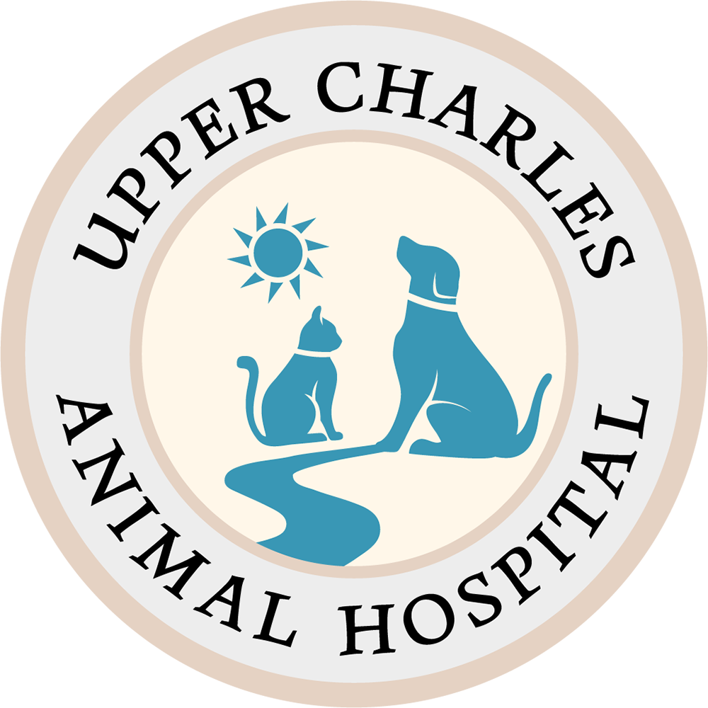 Upper Charles Animal Hospital