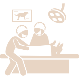 specialized surgery icon