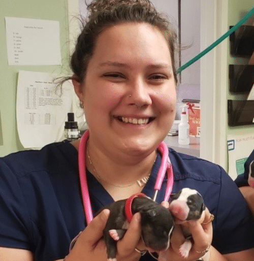 Upper Charles Animal Hospital Coming Soon
